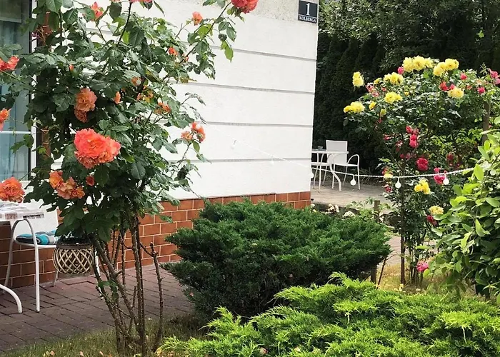 Traper Lejlighed Sopot