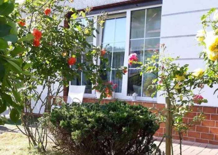 Traper Lejlighed Sopot