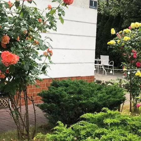 Traper דירה סופוט