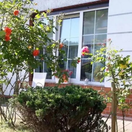 Traper דירה סופוט