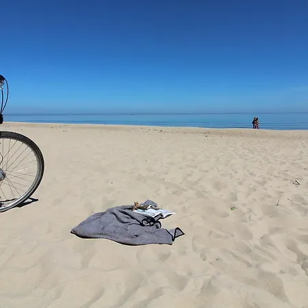 Appartement Traper *